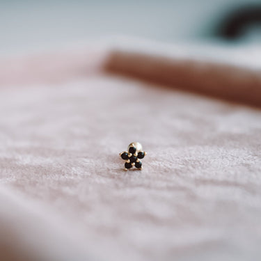 Piercing Mona Black Gold